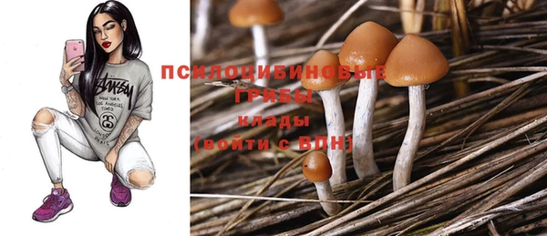 гидропоника Аркадак
